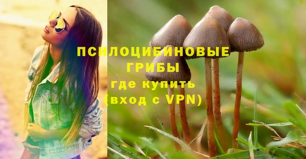 мяу мяу мука Армянск